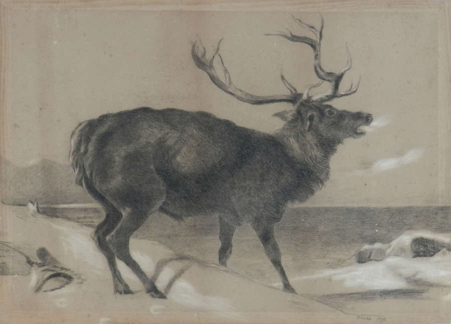 Moose Charcoal Painting by Richard Cockle Lucas 1878 English Signed 19
