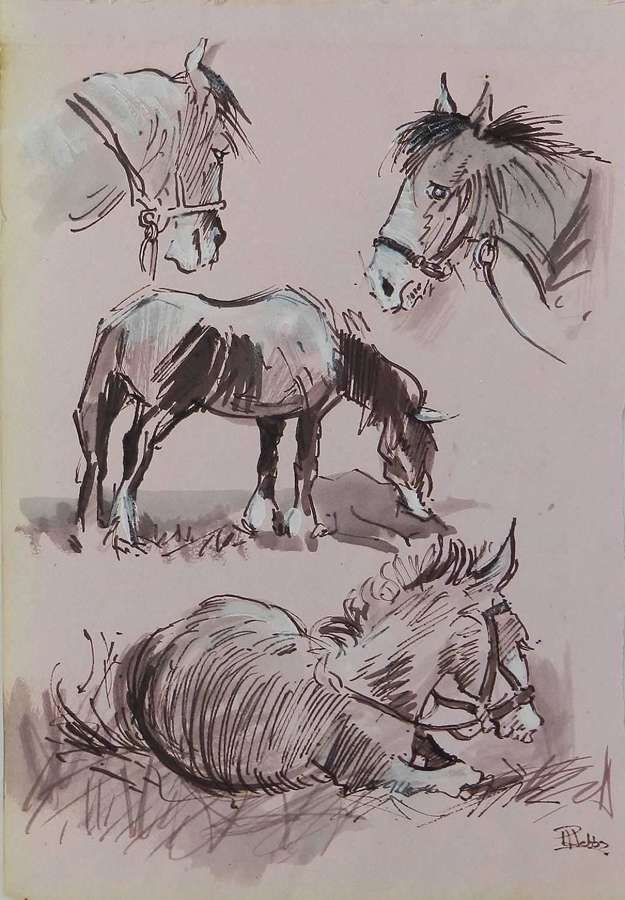 Study Sketches of Horses by Peter Hobbs, 1930-1994 Sepia tone Watercol