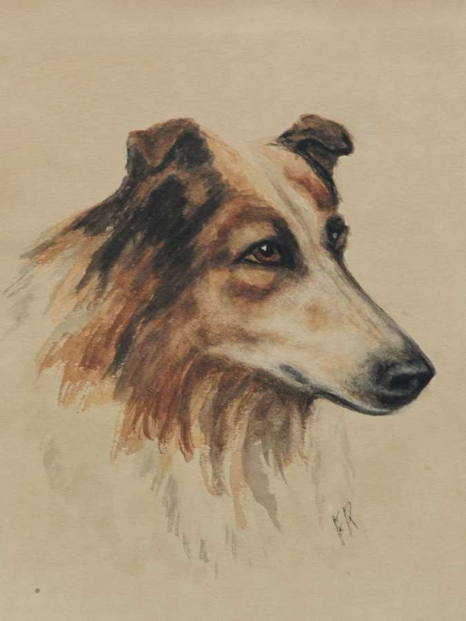 Portrait Collie Dogs Frederick Roe 1864-1947