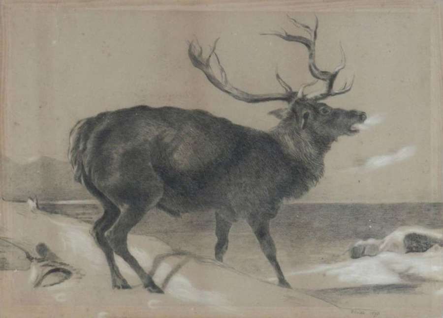 Moose Painting 19th Century 1878 English Signed by Artist